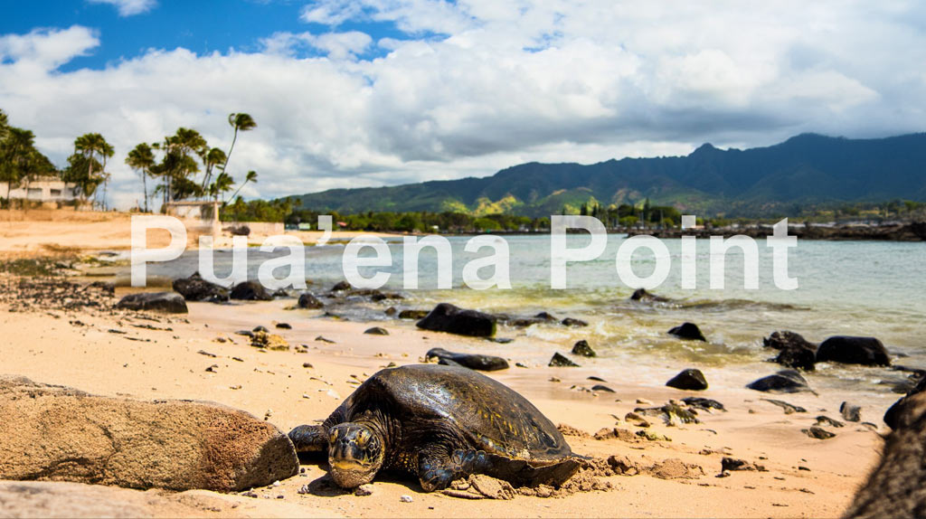 Pua'ena Point: Beauty, History, and Folklore
