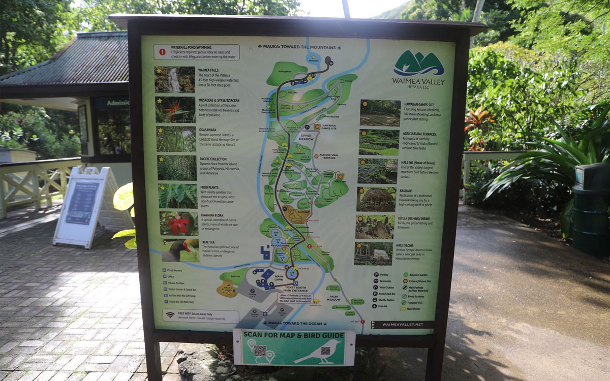 How Long is the Hike to Waimea Waterfall?